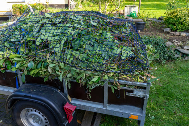 Best Carpet Removal and Disposal  in Rayre, MO